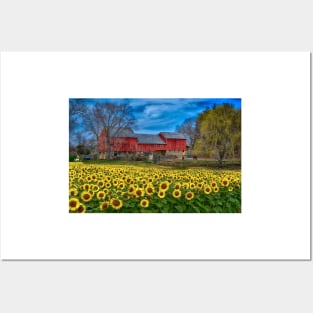 Sunflower Field Country Landscape Posters and Art